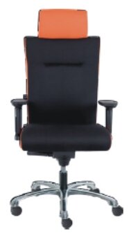 Křeslo LSNT